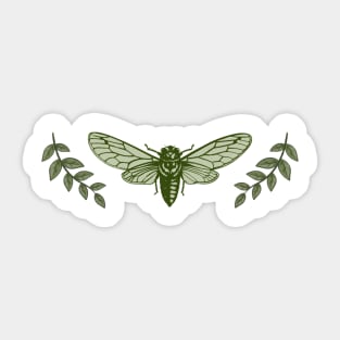 Cicada Leaf Design Pretty Antique Classic Entomologist Insect Bug Nature Sticker